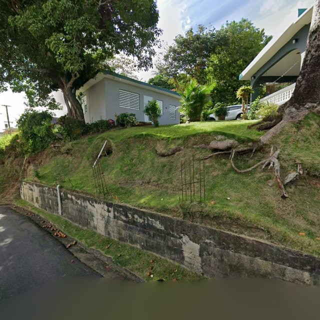 Propiedad declarada estorbo público en 54MP+94X Las Piedras, Puerto Rico 00771, Las Piedras