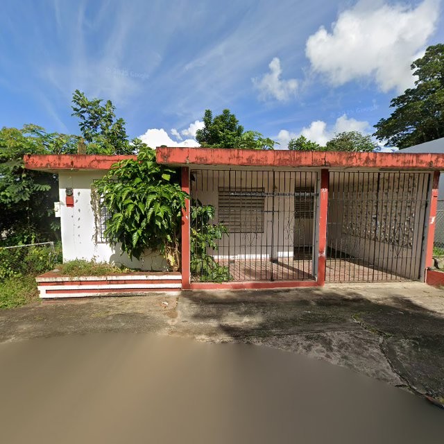 Propiedad declarada estorbo público en 54MM+VM5 Las Piedras, Puerto Rico 00771, Las Piedras