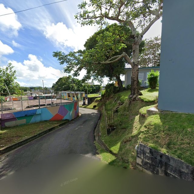 Propiedad declarada estorbo público en 54MP+95G Las Piedras, Puerto Rico 00771, Las Piedras