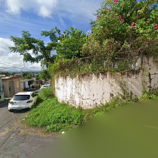 Propiedad declarada estorbo público en 54MM+5WM Las Piedras, Puerto Rico 00771, Las Piedras