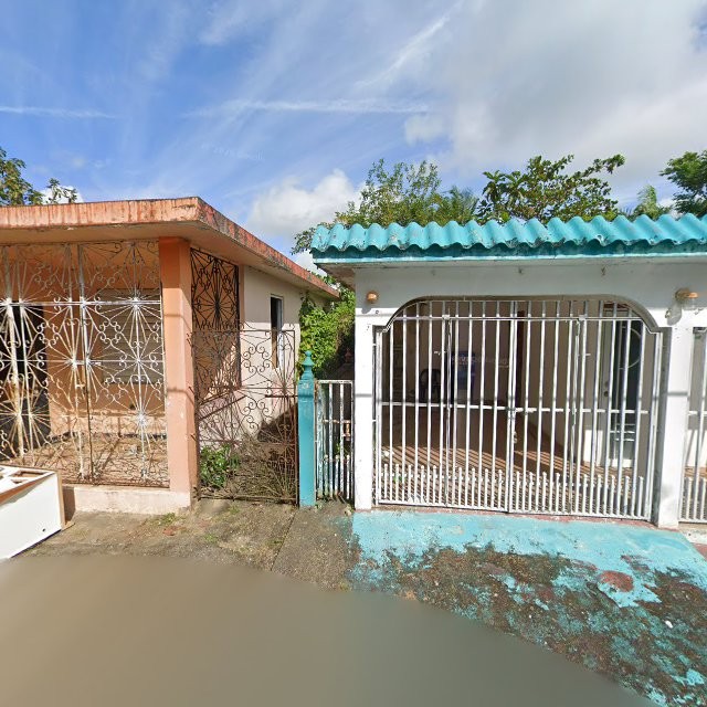 Propiedad declarada estorbo público en 54MP+495 Las Piedras, Puerto Rico 00771, Las Piedras