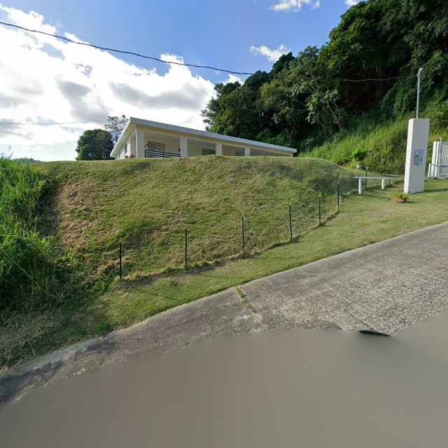 Propiedad declarada estorbo público en 55MF+P3F Collores, Humacao, Puerto Rico 00791, Humacao