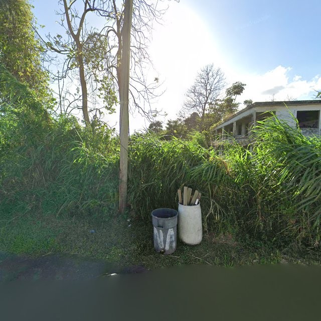 Propiedad declarada estorbo público en 54CR+VCV Las Piedras, Puerto Rico 00771, Las Piedras