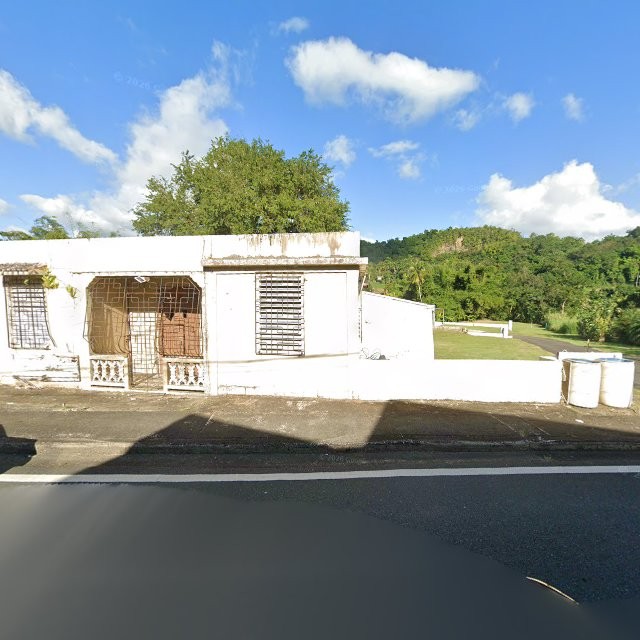 Propiedad declarada estorbo público en 55CM+RGC Collores, Humacao, Puerto Rico 00791, Humacao