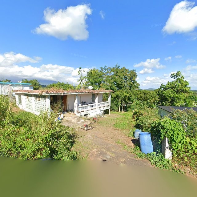 Propiedad declarada estorbo público en 5699+CPW Bajandas, Humacao, Puerto Rico 00791, Humacao