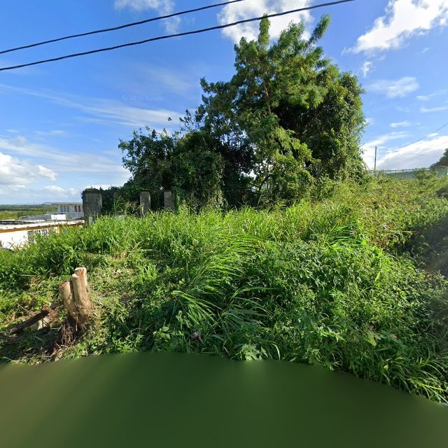 Foto de estorbo público en Humacao