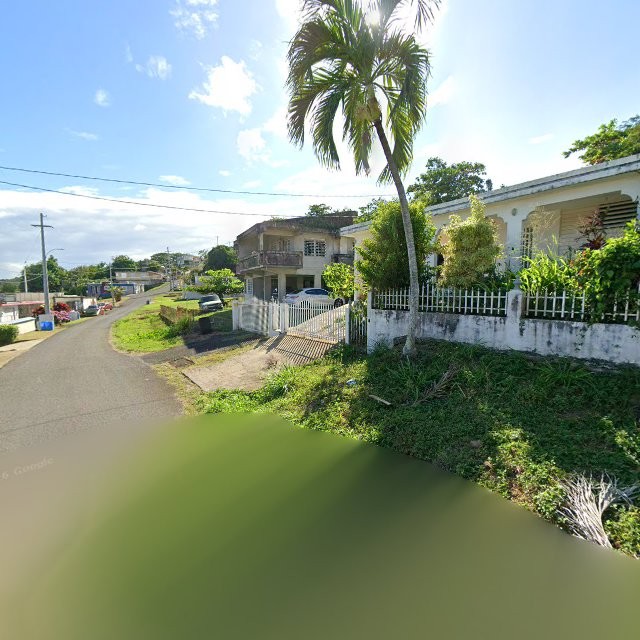 Propiedad declarada estorbo público en 568C+G32 Bajandas, Humacao, Puerto Rico 00791, Humacao