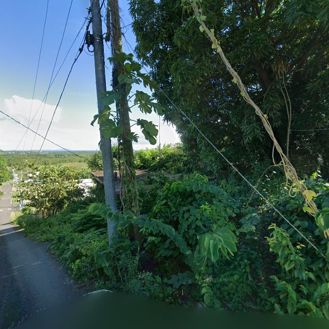 Foto de estorbo público en Humacao