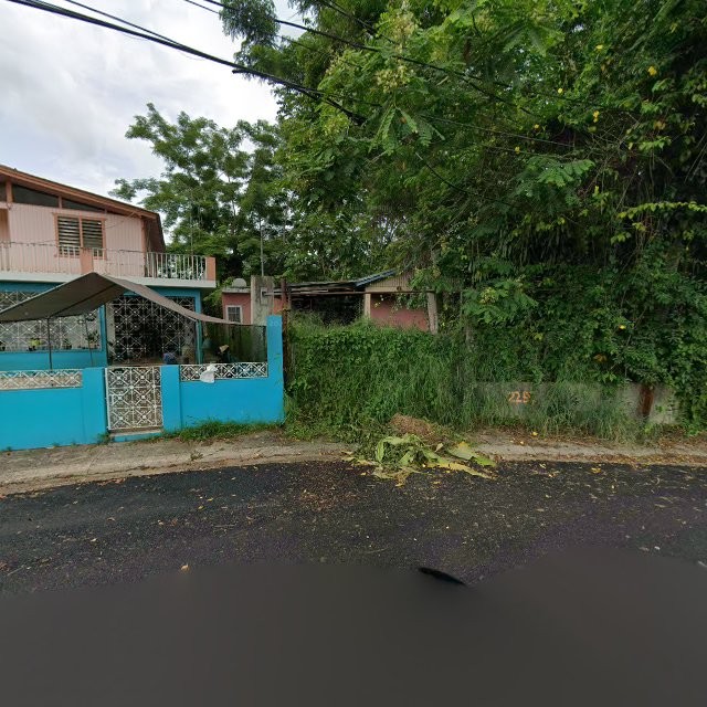 Foto de estorbo público en Hormigueros