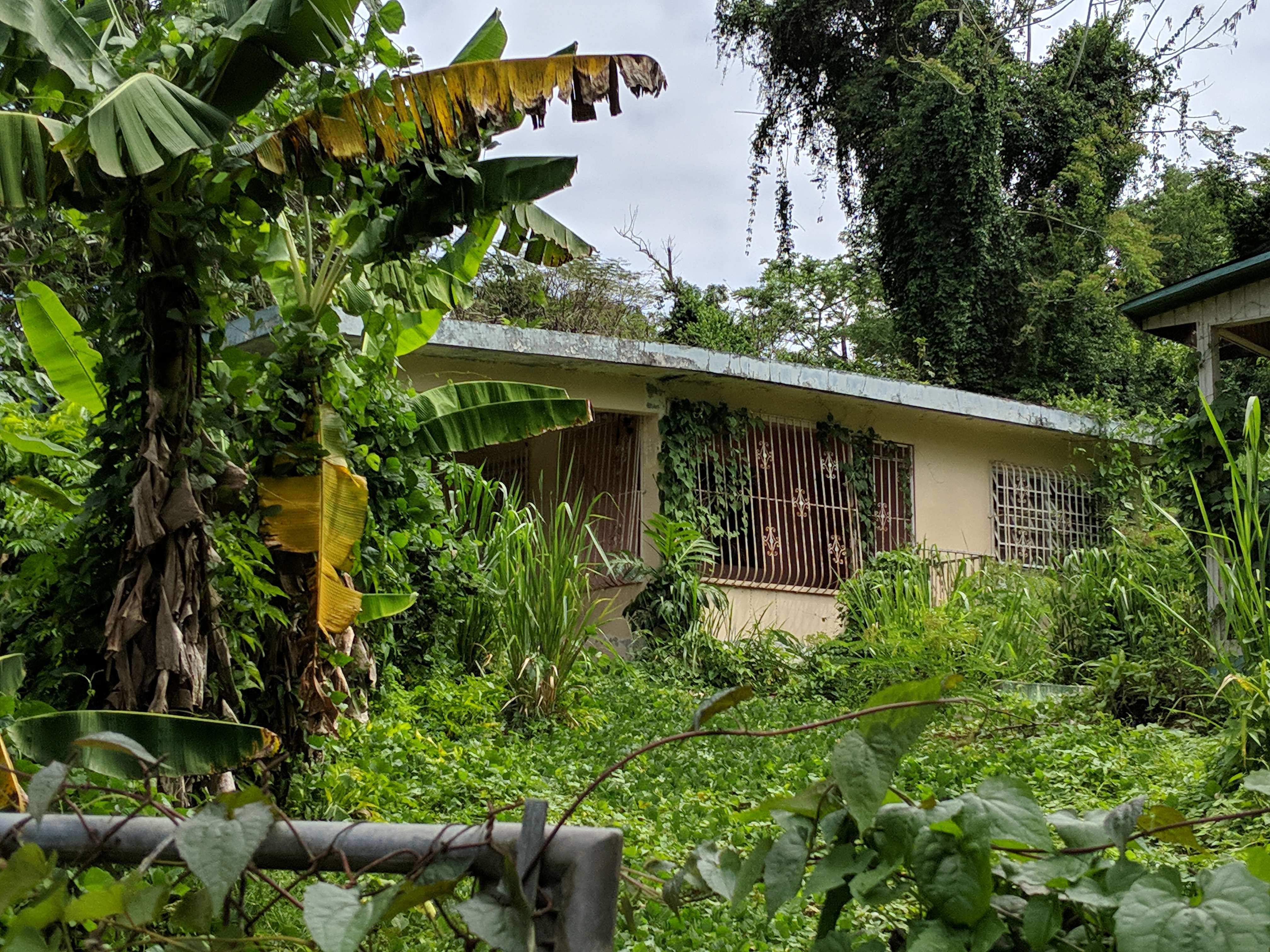 Foto de estorbo público en Hormigueros