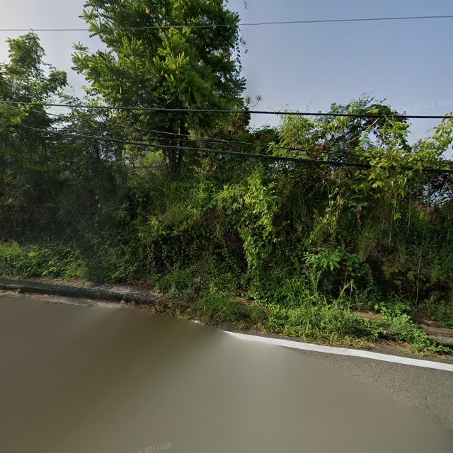 Propiedad declarada estorbo público en 4VRF+XP2 Hormigueros, Puerto Rico 00660, Hormigueros