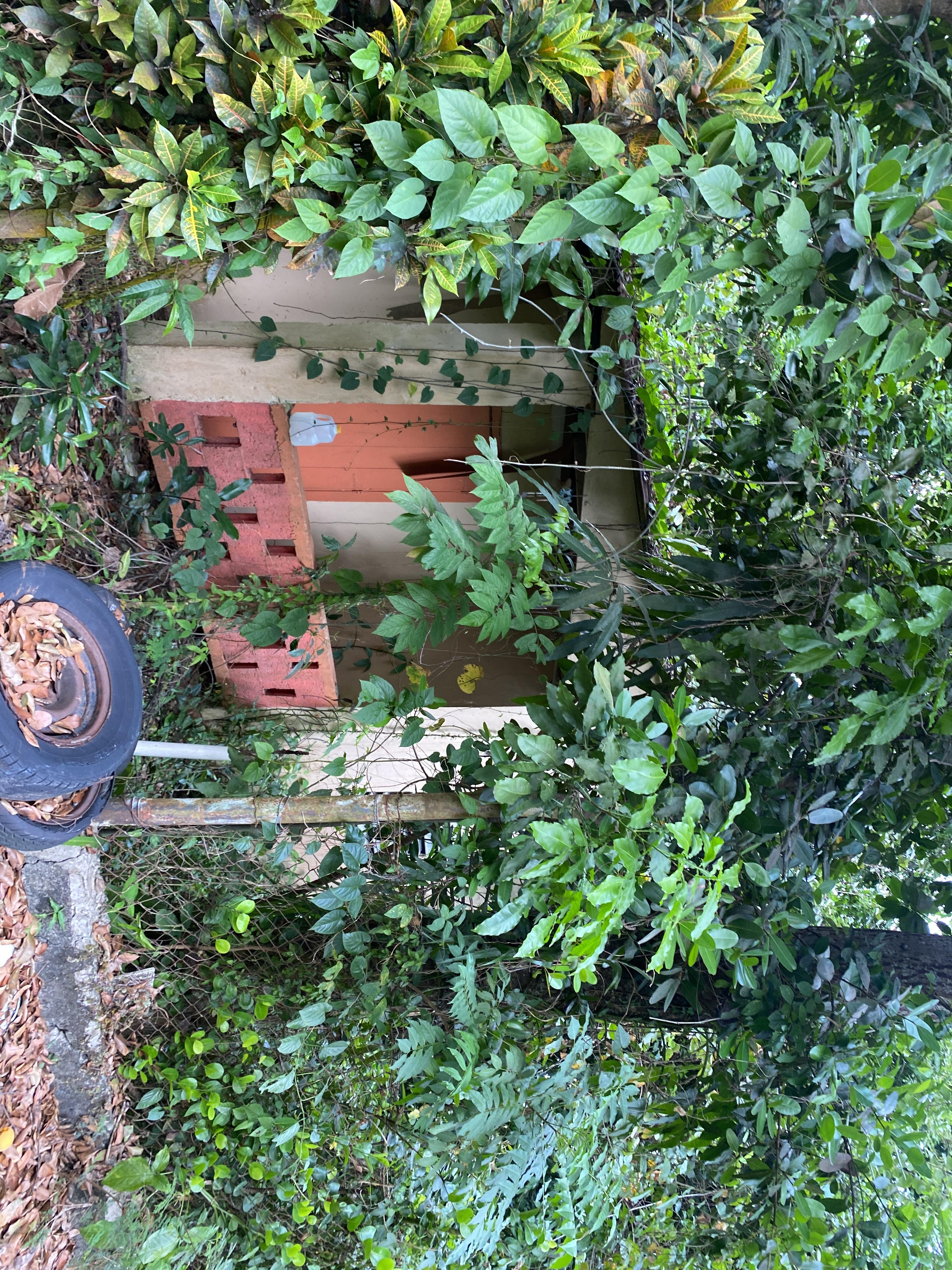 Foto de estorbo público en Hormigueros