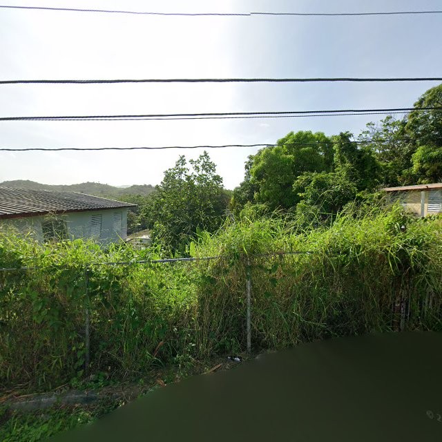 Foto de estorbo público en Hormigueros