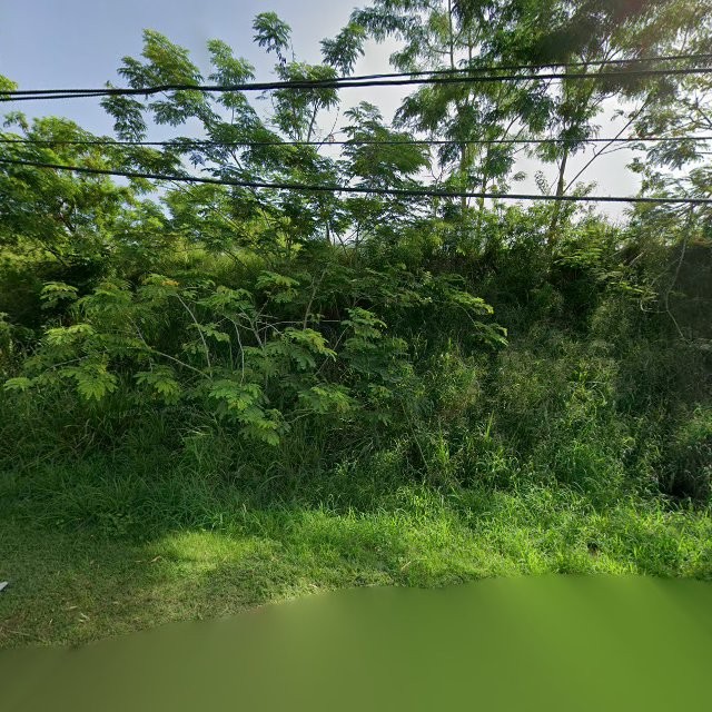 Foto de estorbo público en Hormigueros