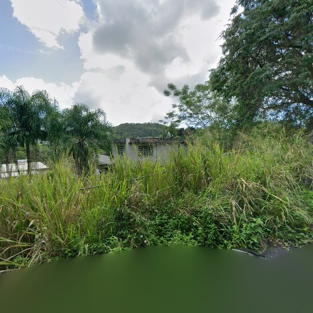 Propiedad declarada estorbo público en 4RHP+7HG Cayey, Puerto Rico 00736, Cayey