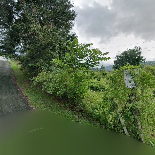 Foto de estorbo público en Cayey