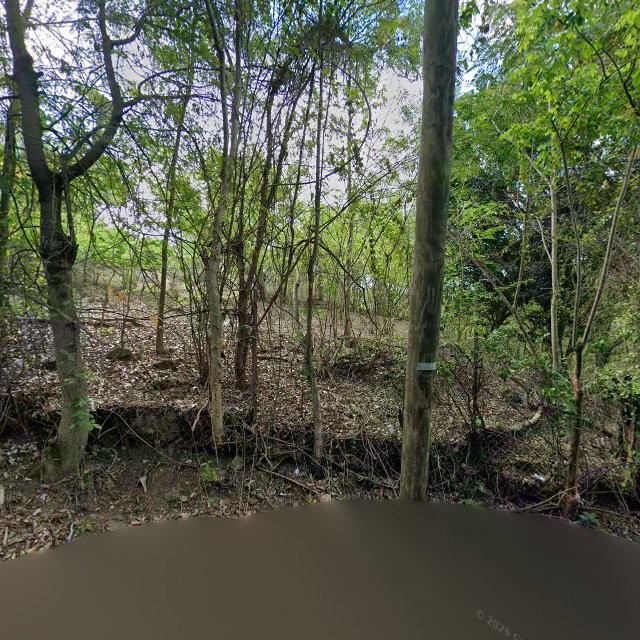 Propiedad declarada estorbo público en 3QC3+9WJ Vazquez, Salinas, Puerto Rico 00751, Salinas