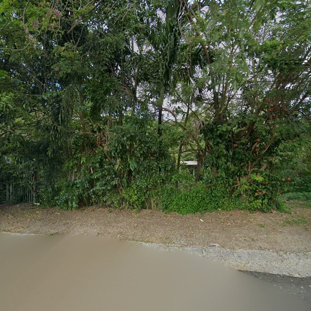 Propiedad declarada estorbo público en 35JQ+6W4 Palmas del Mar, Humacao, Puerto Rico 00791, Humacao