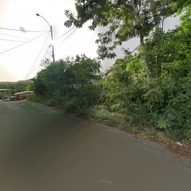 Propiedad declarada estorbo público en 2WQF+GRC Palmarejo, Lajas, Puerto Rico 00667, Lajas