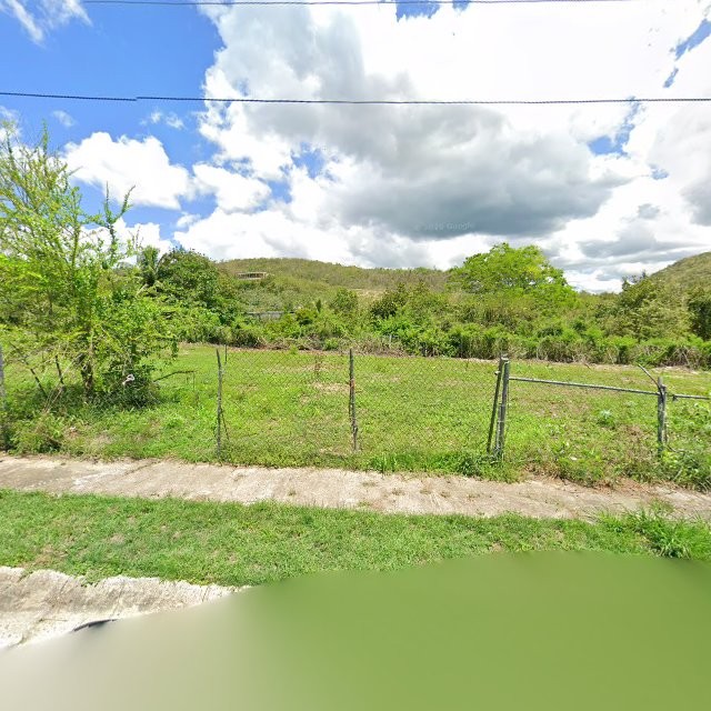 Foto de estorbo público en Ponce