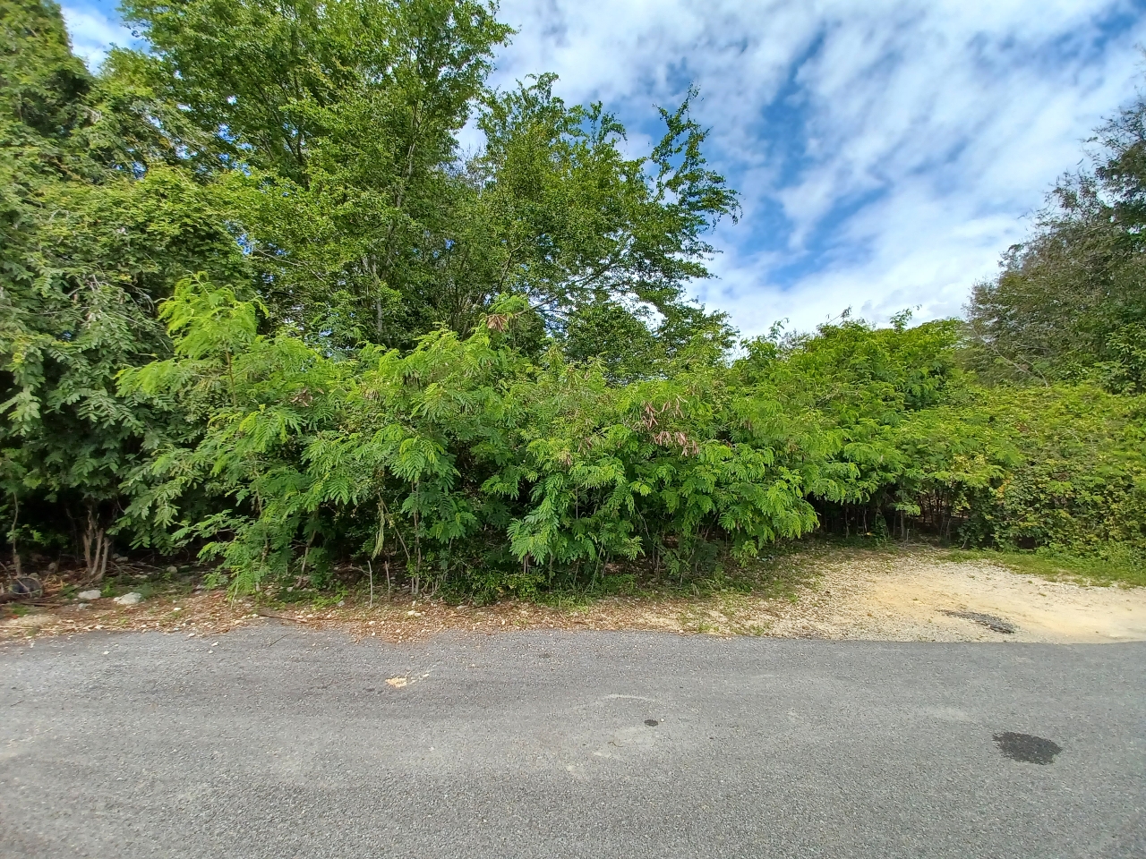 Foto de estorbo público en Yauco