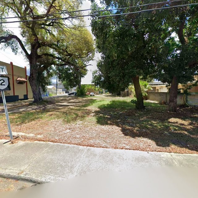 Propiedad declarada estorbo público en 295W+8R9 Ponce, Puerto Rico 00717, Ponce