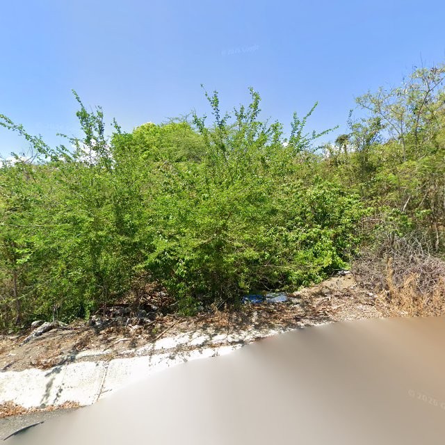 Propiedad declarada estorbo público en X4H8+755 Maria Antonia, Guánica, Puerto Rico 00653, Guánica