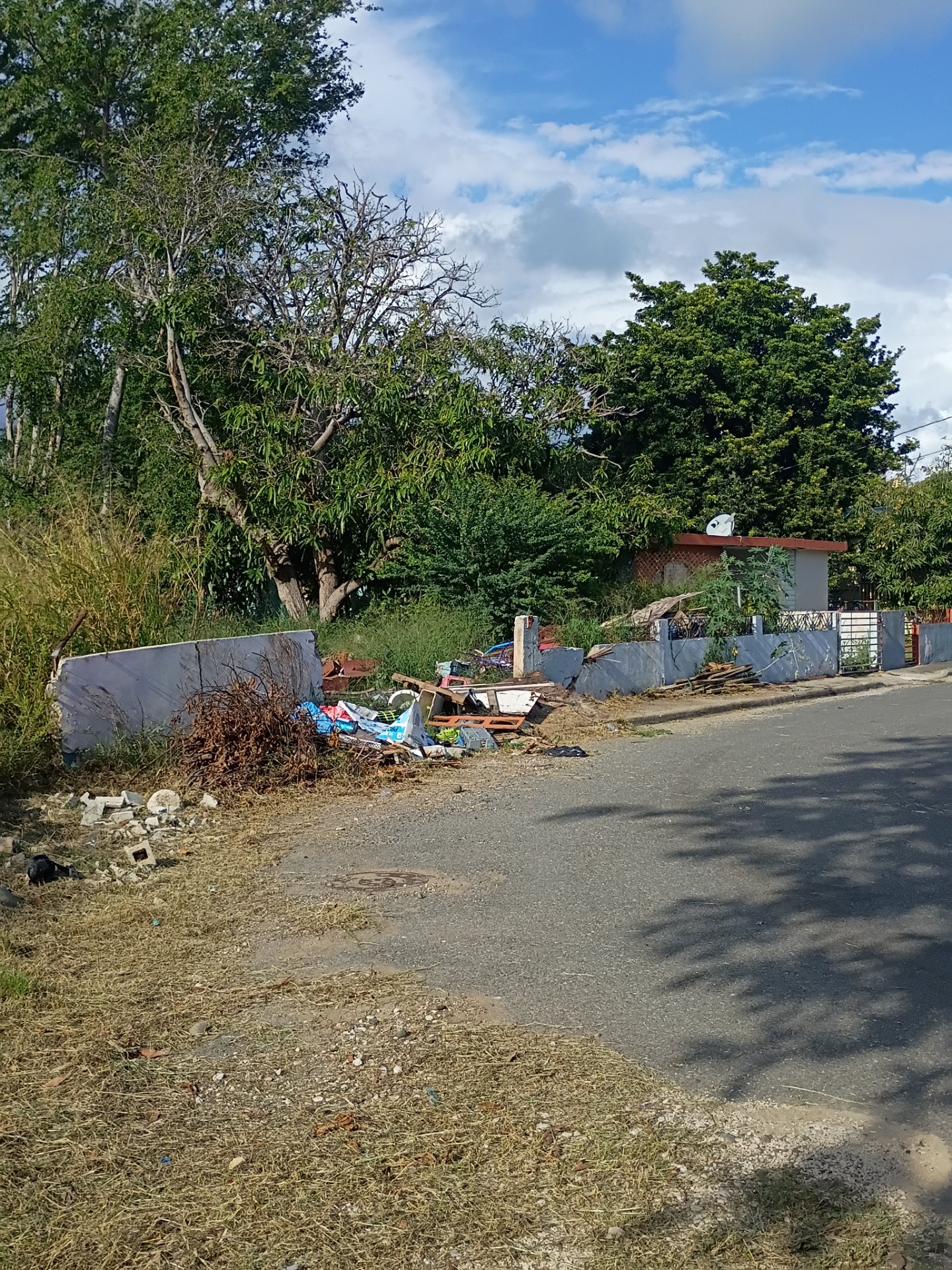 Reporte ciudadano de estorbo público en COMM AMALIA MARIN , CALLE B NUM 20, PR, Puerto Rico, Ponce