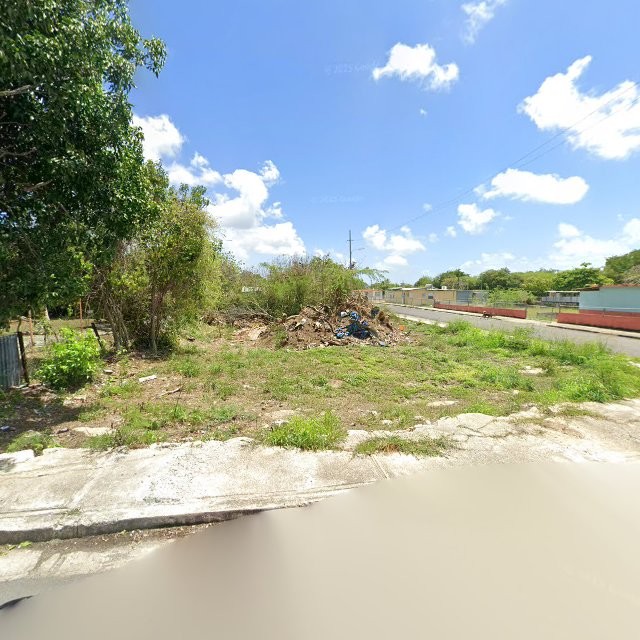 Propiedad declarada estorbo público en XQGF+VG6 Coquí, Salinas, Puerto Rico 00704, Salinas