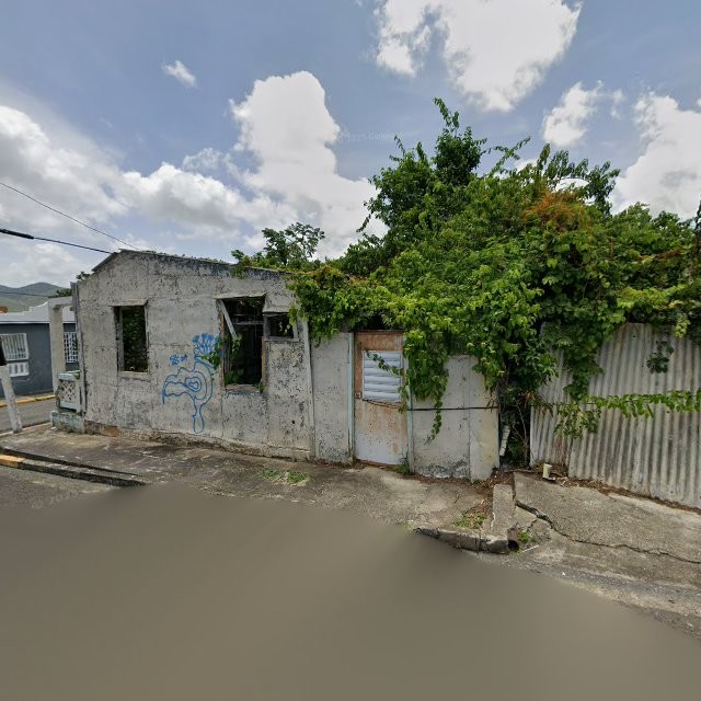 Foto de estorbo público en Guayama