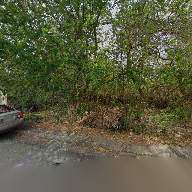 Foto de estorbo público en Guayama