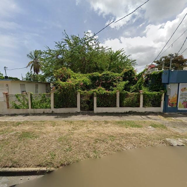 Foto de estorbo público en Guayama