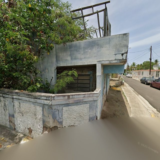 Foto de estorbo público en Guayama