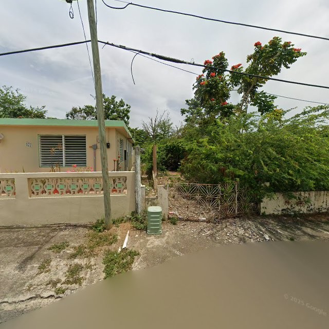 Foto de estorbo público en Guayama