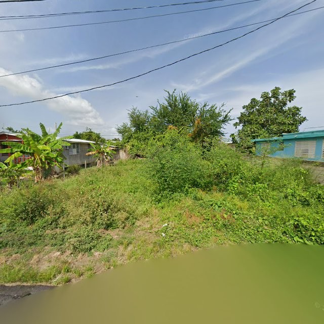 Propiedad declarada estorbo público en WVX9+785 Guayama, Puerto Rico 00784, Guayama