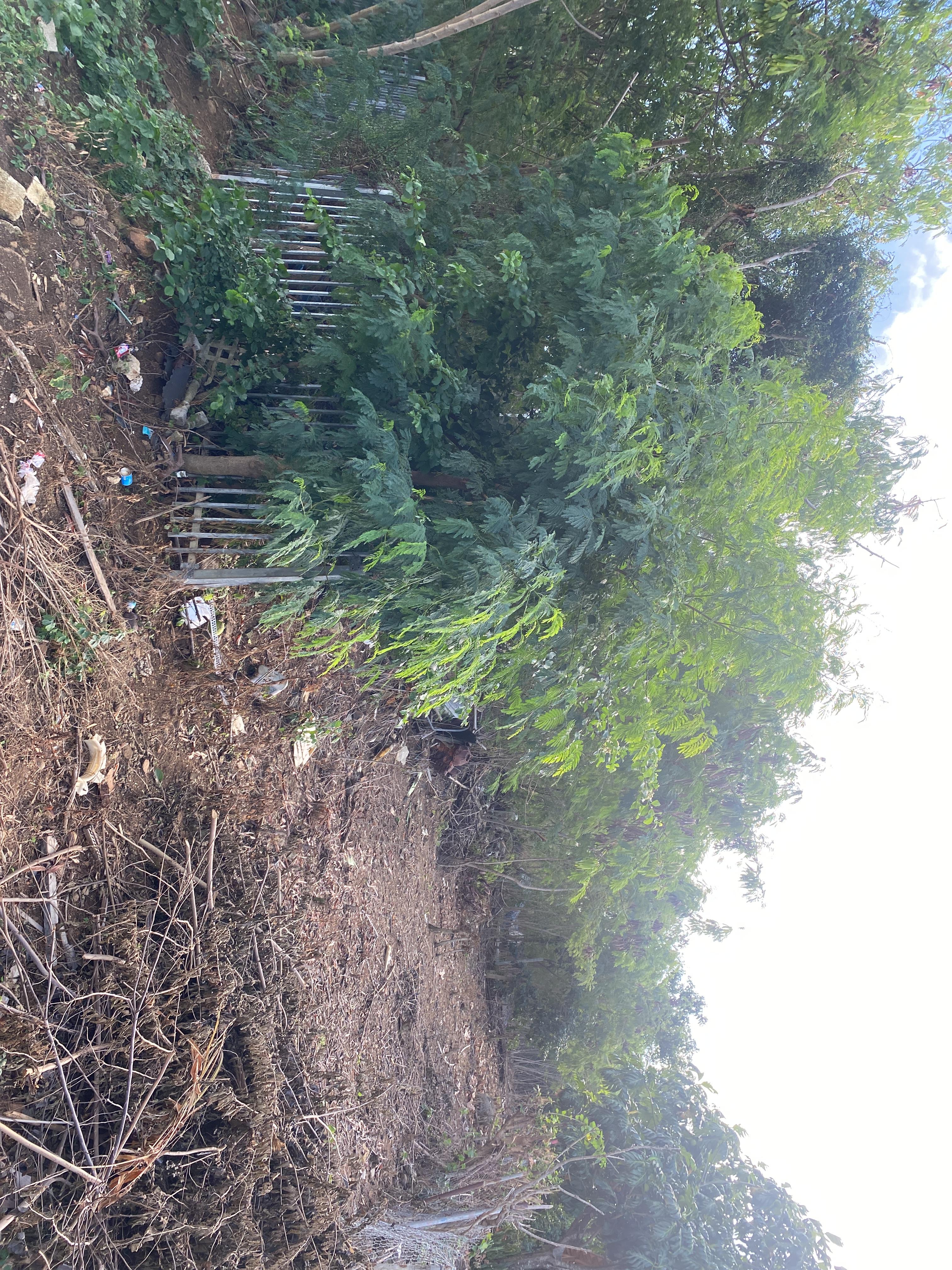 Propiedad declarada estorbo público en 8M7R+FM6 Flamenco, Culebra, Puerto Rico 00775, Culebra