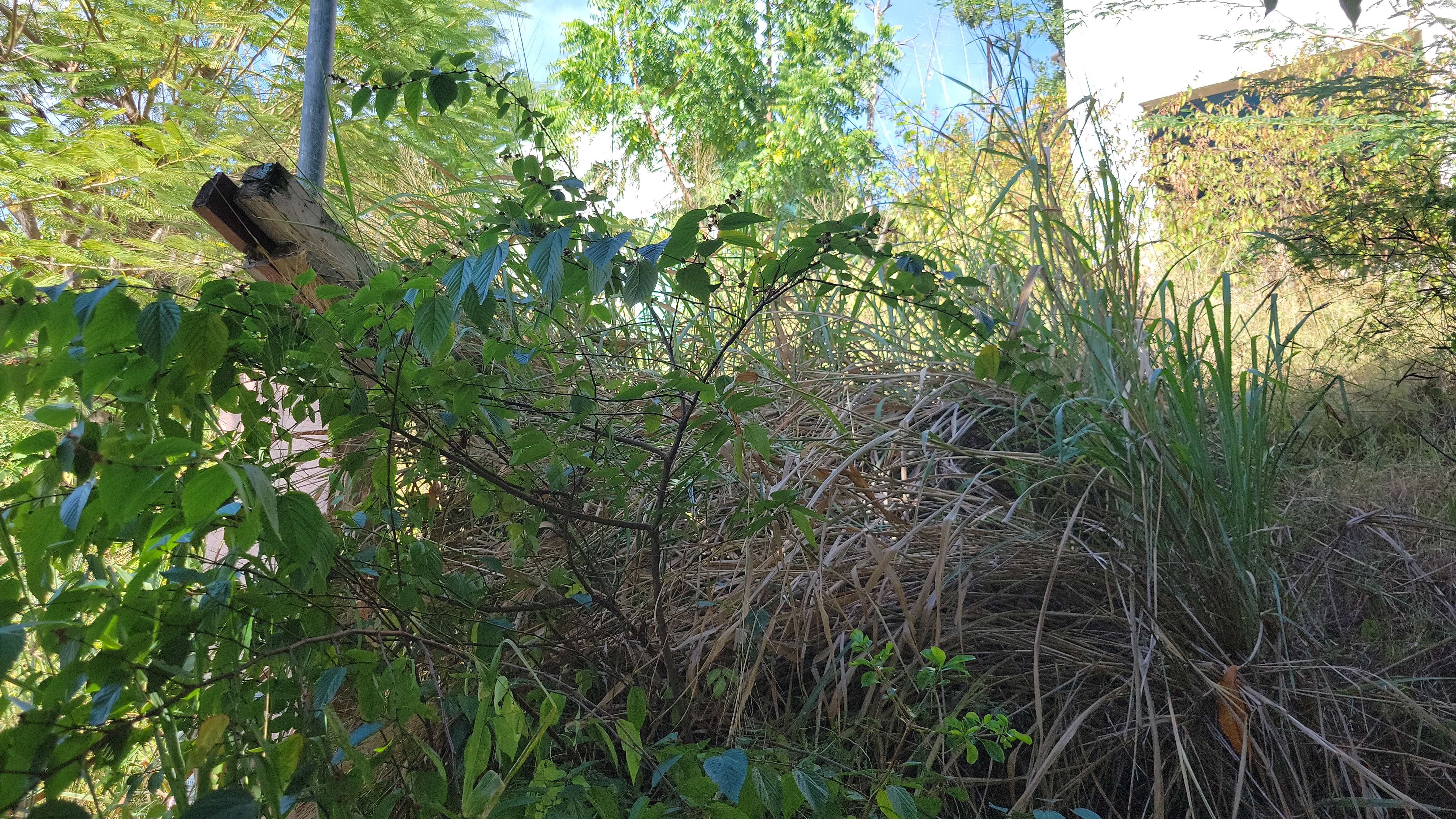 Propiedad declarada estorbo público en 8M7X+MRV Flamenco, Culebra, Puerto Rico 00775, Culebra