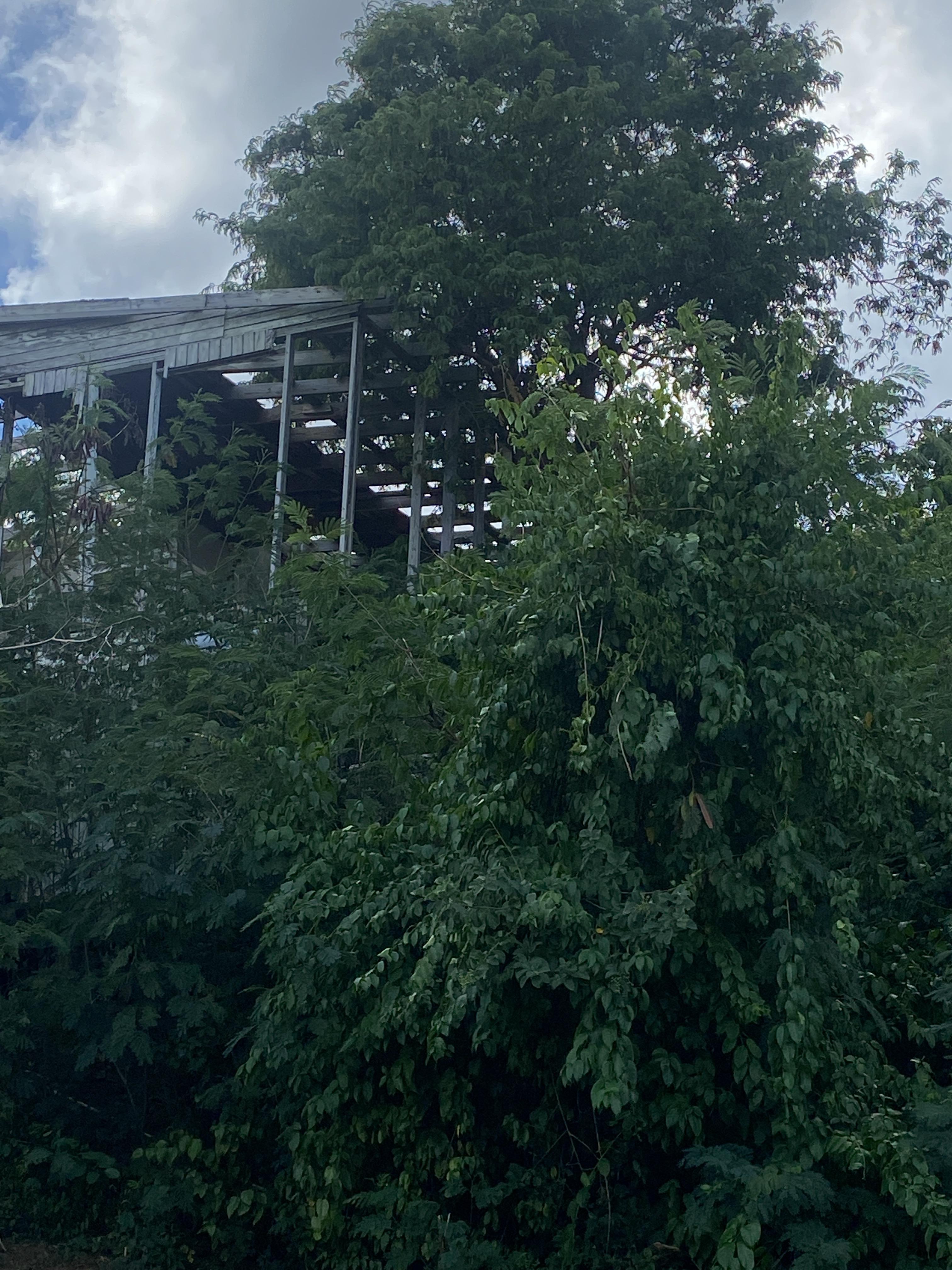 Propiedad declarada estorbo público en 8M7R+37X Flamenco, Culebra, Puerto Rico 00775, Culebra