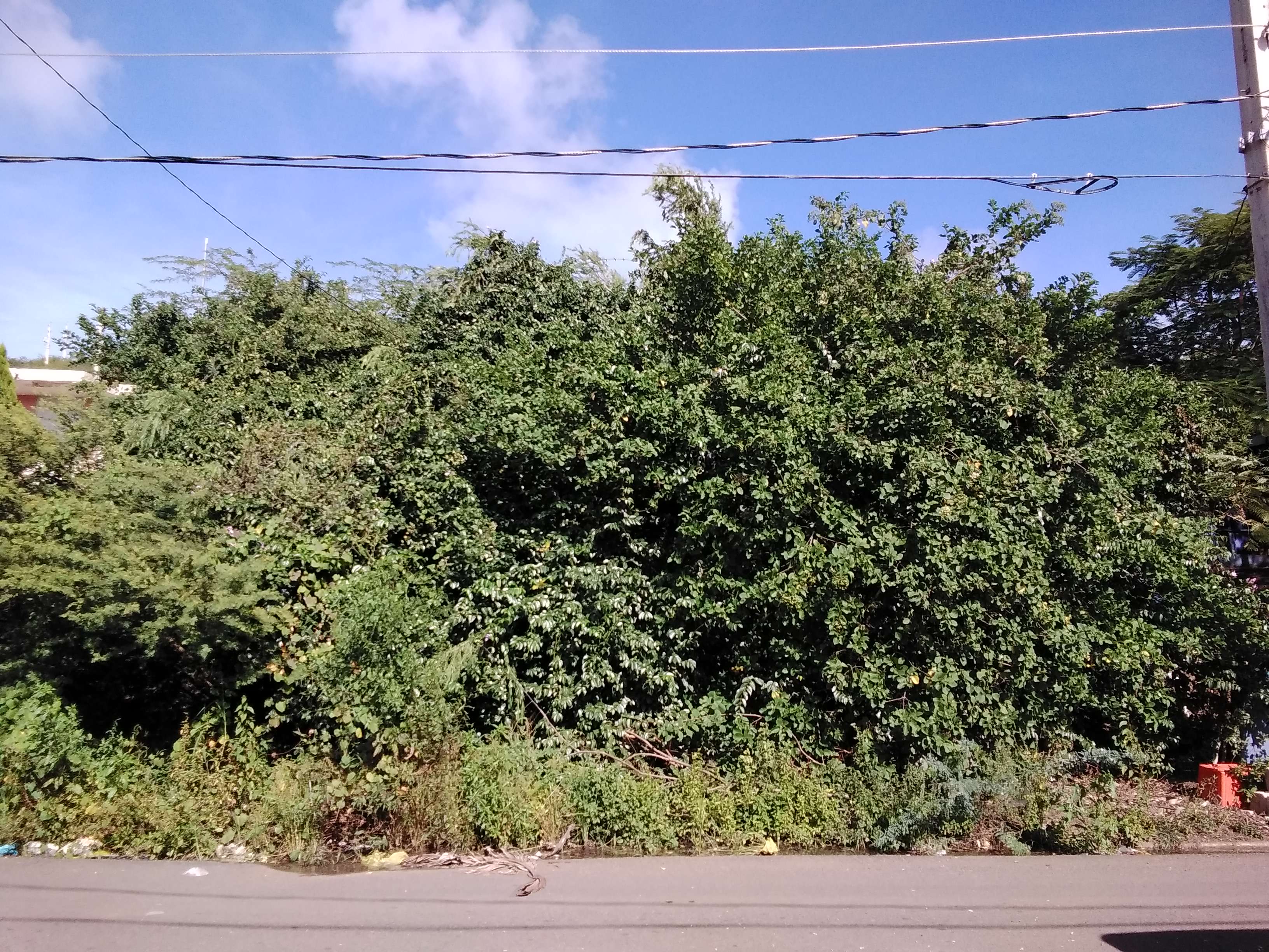 Propiedad declarada estorbo público en 8P62+Q6F Flamenco, Culebra, Puerto Rico 00775, Culebra