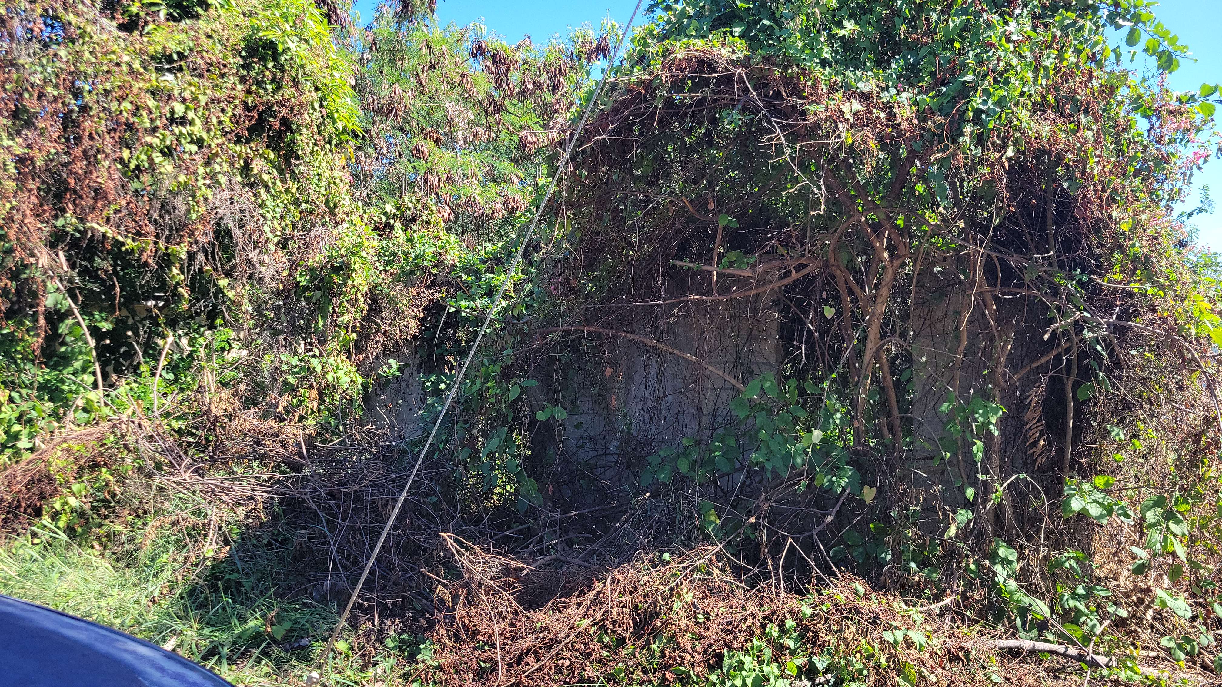 Propiedad declarada estorbo público en 8M5W+QJV Culebra, Puerto Rico 00775, Culebra