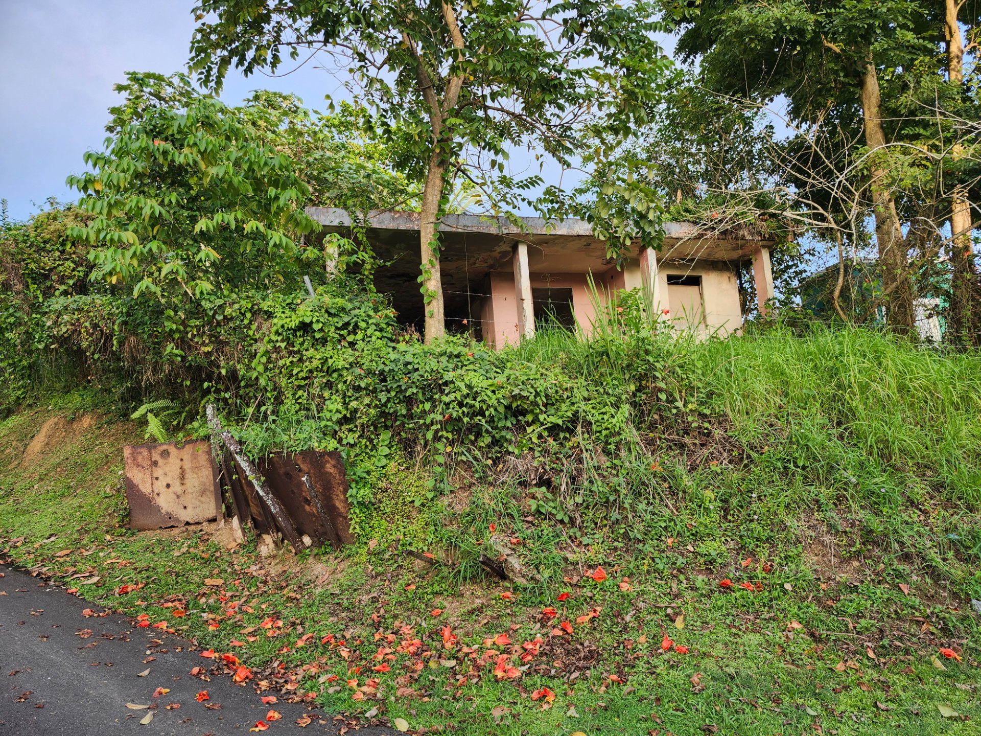 Reporte ciudadano de estorbo público en Com Anton Ruiz 187, Humacao, PR 00791, Humacao