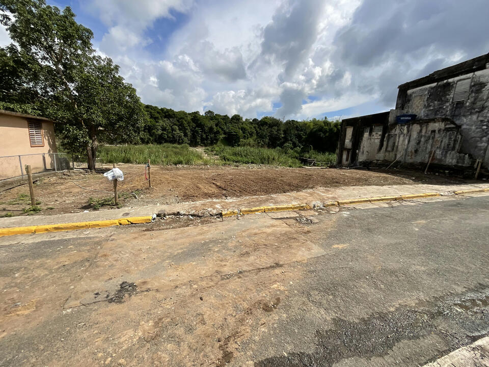 Reporte ciudadano de estorbo público en 52RR+4C5 San Lorenzo, Puerto Rico, San Lorenzo