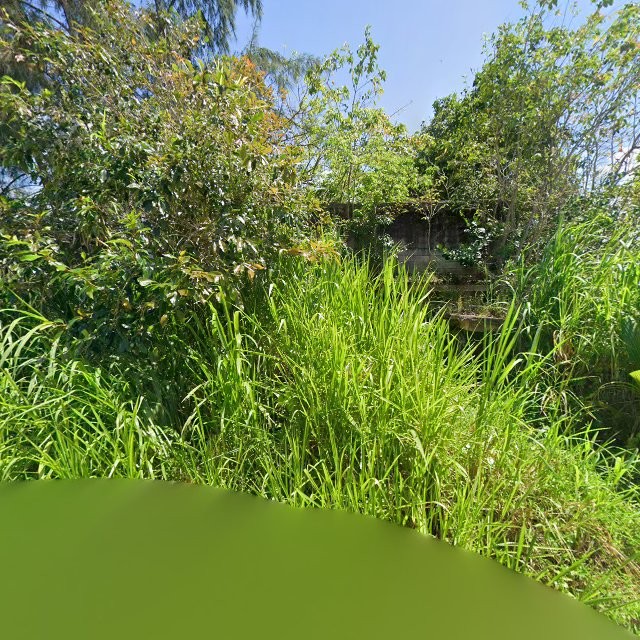 Reporte ciudadano de estorbo público en FM98+M56 Sabana, Vega Alta, Puerto Rico, Vega Alta