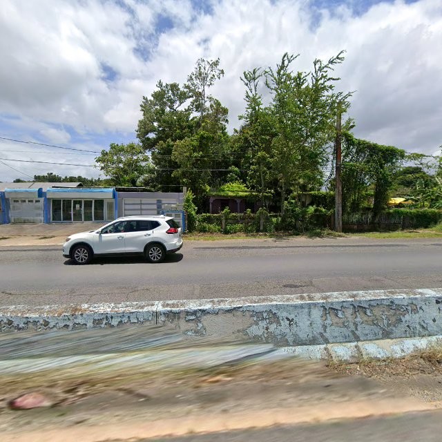 Reporte ciudadano de estorbo público en C8WJ+P38 Santana, Arecibo, Puerto Rico, Arecibo