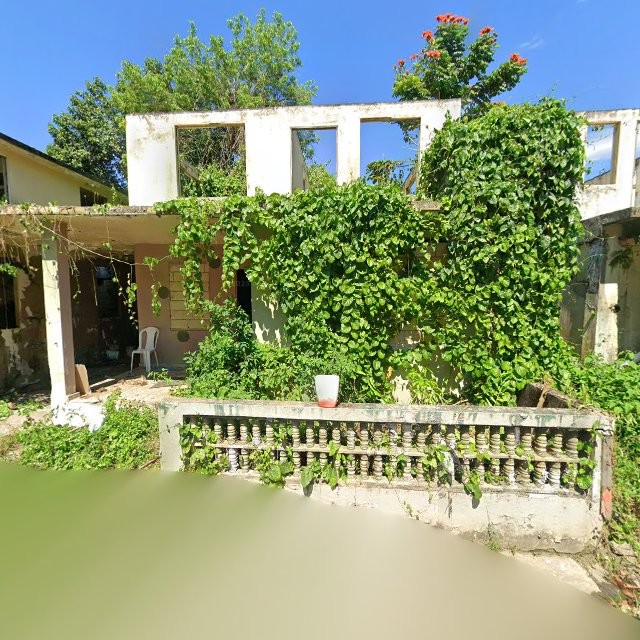 Reporte ciudadano de estorbo público en CFX6+6F5 Barceloneta, Puerto Rico, Barceloneta