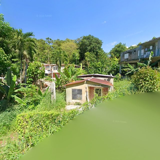 Reporte ciudadano de estorbo público en CFW4+VJQ Barceloneta, Puerto Rico, Barceloneta