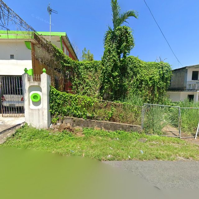 Reporte ciudadano de estorbo público en CJQ9+F83 Vega Baja, Puerto Rico, Vega Baja