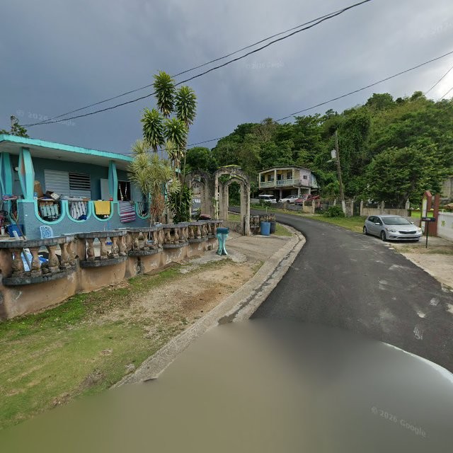 Reporte ciudadano de estorbo público en CJRQ+W5C Monserrate, Vega Baja, Puerto Rico, Vega Baja