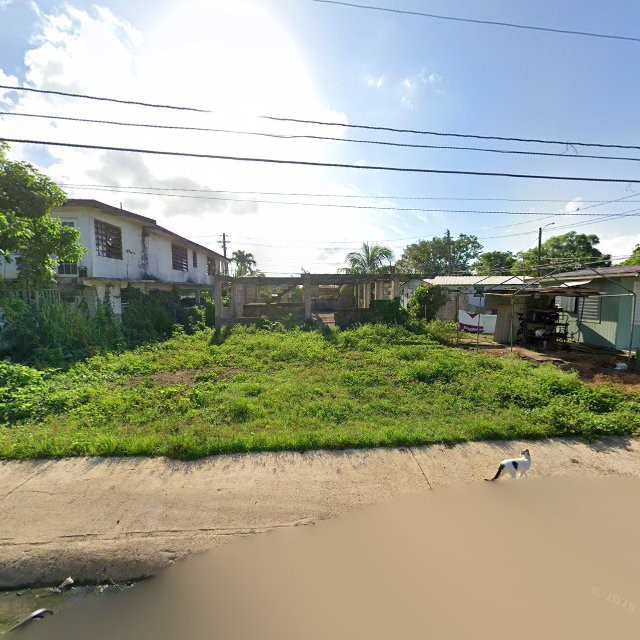 Reporte ciudadano de estorbo público en CPQ8+P32 San Antonio, Dorado, Puerto Rico, Dorado