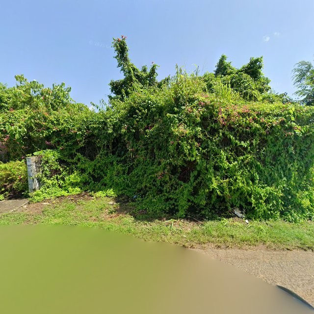 Reporte ciudadano de estorbo público en C7C5+MQM Arecibo, Puerto Rico, Arecibo